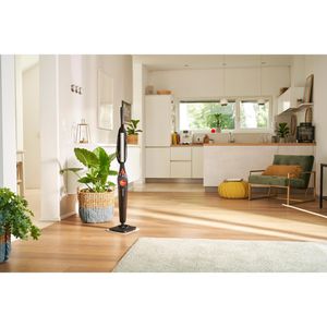 Produktbild für Dampfreiniger Vileda Steam Plus 168918