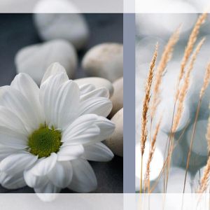Produktbild für Trauerkarten Sigel DS208, Anteilnahme