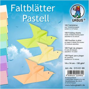 Faltblätter Ursus 3156199 Pastell Tonzeichenpapier