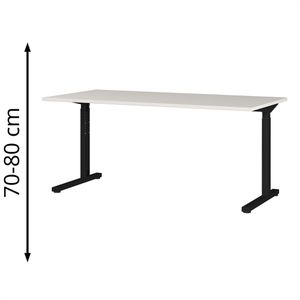 Produktbild für Schreibtisch Germania Profi 3.0, 4253-581, lichtgrau / schwarz