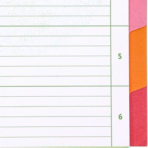 Produktbild für Register Brunnen 1066575, A4, blanko