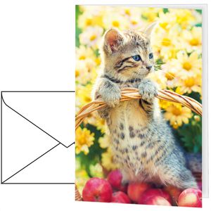 Böttcher-AG Grußkarten Katze und Blumen, 115 x 170mm, Klappkarte mit Umschlag
