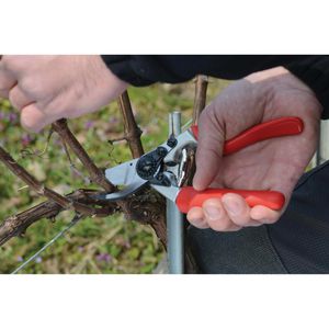 Produktbild für Gartenschere FELCO 7, Bypass