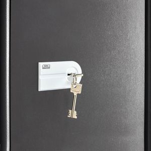 Produktbild für Tresor Burg-Wächter Combi-Line CL 460 K