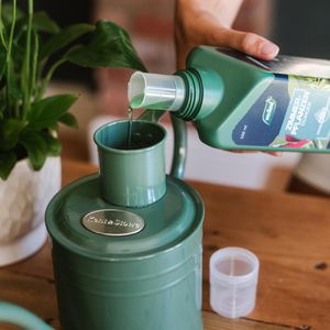 Produktbild für Dünger Westland Zimmerpflanzen