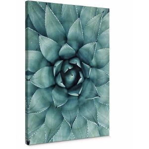 Produktbild für Wandbild AS-Creation Agave