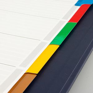 Produktbild für Register Leitz 4320-00-00, A4, blanko