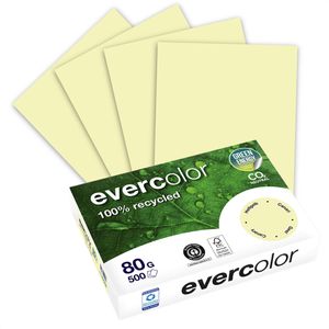 Kopierpapier Clairefontaine Evercolor 40005C, A4