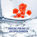 Zusatzbild WC-Duftspüler Cillit-Bang 6 in 1, Hibiskus Traum