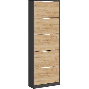 Produktbild für Schuhschrank Vicco Luca, anthrazit / eiche