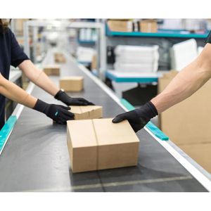 Produktbild für Arbeitshandschuhe ACE-Instruments PUre Black