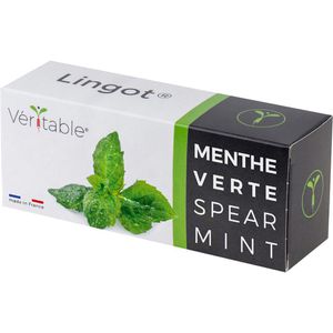 Saatpad Veritable Lingot, Minze