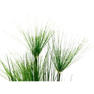 Produktbild für Kunstpflanze I.GE.A. Zyperngras
