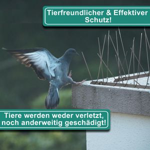Produktbild für Vogelabwehr PRIOstahl Taubenspikes, 5 Meter