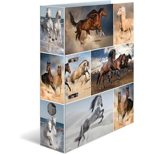 Ordner Herma 7164 Animals, Karton, A4