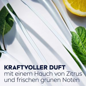 Produktbild für Duschgel Nivea Men Power 24h Fresh Effect 3in1