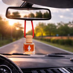 Produktbild für Autoduft Wunderbaum 461202, Forest Fruit