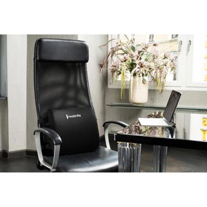 Produktbild für Rückenstütze Healthfix Lendenkissen, 100401