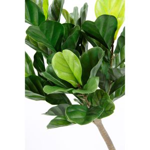 Produktbild für Kunstpflanze I.GE.A. Feigenbaum