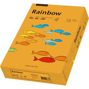 Produktbild für Kopierpapier Papyrus Rainbow 88042417