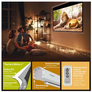 Produktbild für Beamer-Leinwand ESMART Economy EXM Motor