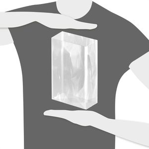 Produktbild für Geschenktüte Folia 282 neutral transparent