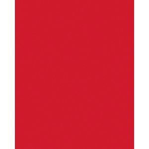 Produktbild für Tonpapier Folia 66305020 Tonkarton, A3