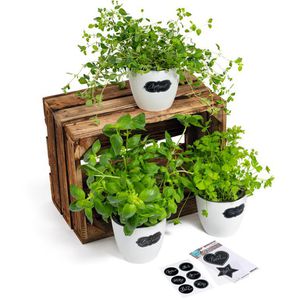 Produktbild für Tafeletiketten Herma 15413, Schilder