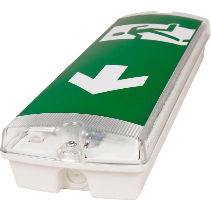 McShine 1235013 FL-250 Lampe LED à Montage Au Plafond, Verre, Vert