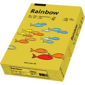 Produktbild für Kopierpapier Papyrus Rainbow 88042393