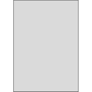 Produktbild für Typenschild-Etiketten APLI 10071, silber
