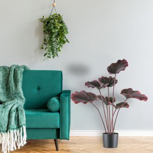 Produktbild für Kunstpflanze Creativ-green Strahlenpalme dunkelrot