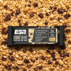 Produktbild für Müsliriegel ESN Designer Goat Bar Protein Salty Peanut Flavor