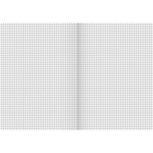 Produktbild für Schulheft Brunnen 104432202, ab 5. Klasse, A4