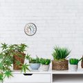 Produktbild in Größe 120