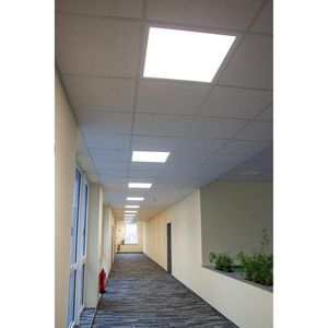 Produktbild für LED-Panel Enovalite ELED600106, weiß, 62 x 62 cm