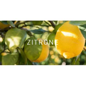 Produktbild für Duftöl Primavera Zitrone bio