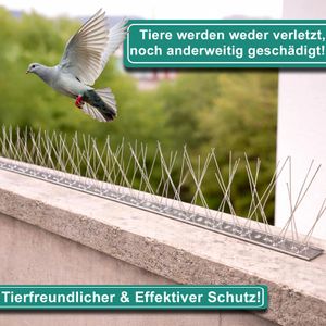 Produktbild für Vogelabwehr PRIOstahl Taubenspikes, 10 Meter