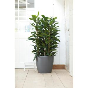 Produktbild für Übertopf elho Brussels Rund, anthrazit, Ø 39 x 37 cm