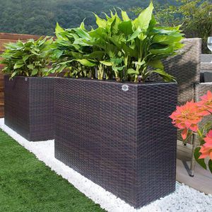 Produktbild für Pflanzkasten CASARIA Sichtschutz braun