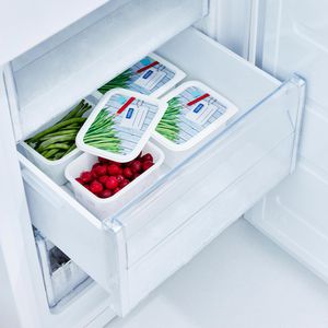 Produktbild für Frischhaltedose Rotho Domino, aus Kunststoff
