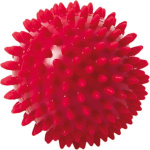Igelball Togu Noppenball