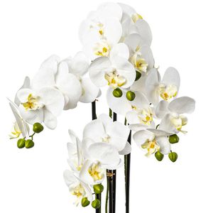 Produktbild für Kunstblume Creativ-green Orchidee, Phalaenopsis