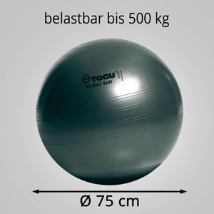 Produktbild für Gymnastikball Togu MyBall Soft
