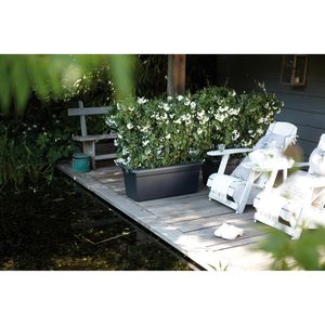 Produktbild für Pflanzkasten elho Green Basics Garten XXL 100 cm schwarz