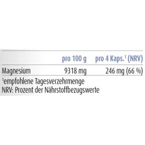 Produktbild für Magnesium Raab-Vitalfood Glycinat, 100 Kapseln