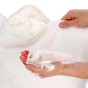 Produktbild für Kopfkissen MSS 300700-40.80, für Allergiker