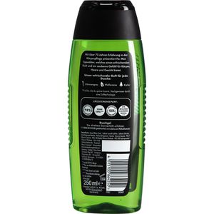 Produktbild für Duschgel Fa Men Speedster 3in1