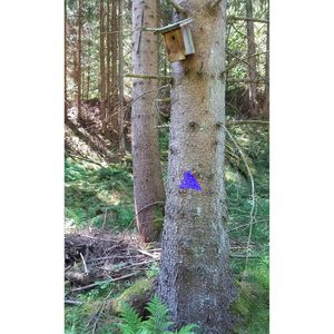 Produktbild für Markierungsspray Stanger Forst-Markierer, blau