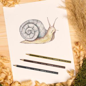 Produktbild für Buntstifte Staedtler Noris Colour 185, 61 SET6